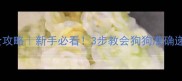 泰迪犬拿东西训练全攻略新手必看3步教会狗狗准确递物附实操视频