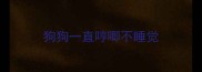 狗狗一直哼唧不睡觉