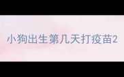 小狗出生第几天打疫苗