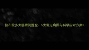 拉布拉多犬肠胃问题全5大常见病因与科学应对方案