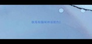 珠海有猫咪冲凉地方
