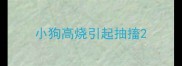 小狗高烧引起抽搐