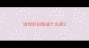 边牧能训练成什么样