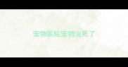 宠物医院宠物治死了