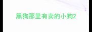 黑狗那里有卖的小狗