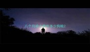 八个月哈士奇吃多少狗粮