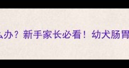 边牧幼犬吃干粮呕吐怎么办新手家长必看幼犬肠胃脆弱期干粮喂养全攻略