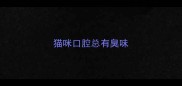 猫咪口腔总有臭味