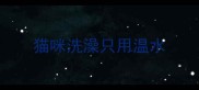 猫咪洗澡只用温水