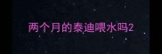 两个月的泰迪喂水吗