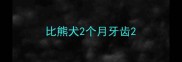 比熊犬2个月牙齿