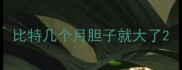 比特几个月胆子就大了