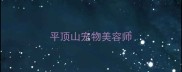 平顶山宠物美容师
