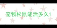 宠物松鼠能活多久