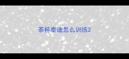 茶杯泰迪怎么训练