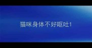 猫咪身体不好呕吐