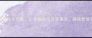 火车托运猫咪全攻略安全指南与注意事项确保爱宠平安到站