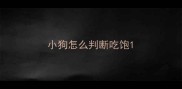 小狗怎么判断吃饱