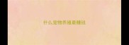 什么宠物养殖最赚钱