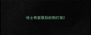 哈士奇爱跟别的狗打架
