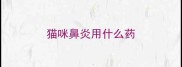 猫咪鼻炎用什么药