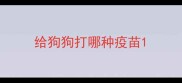 给狗狗打哪种疫苗