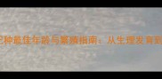 科学解答拉布拉多配种最佳年龄与繁殖指南从生理发育到健康管理的全流程