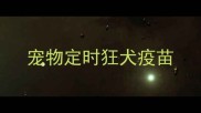 宠物定时狂犬疫苗