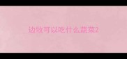 边牧可以吃什么蔬菜