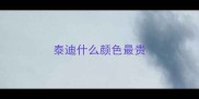 泰迪什么颜色最贵