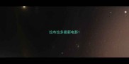 拉布拉多最新电影