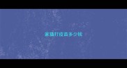 家猫打疫苗多少钱