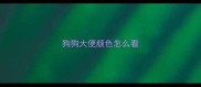 狗狗大便颜色怎么看