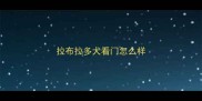 拉布拉多犬看门怎么样