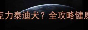 如何科学饲养成年巧克力泰迪犬全攻略健康养护与行为训练要点