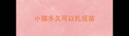 小猫多久可以扎疫苗