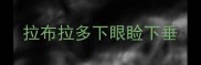 拉布拉多下眼睑下垂