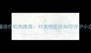 上海专业龙猫诊疗机构推荐XX宠物医院如何守护小众宠物的健康