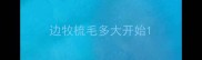 边牧梳毛多大开始