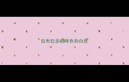 拉布拉多咖啡色和白色