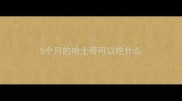 5个月的哈士奇可以吃什么