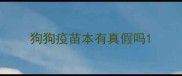狗狗疫苗本有真假吗