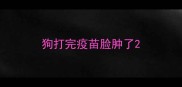 狗打完疫苗脸肿了