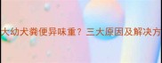 7个月大幼犬粪便异味重三大原因及解决方法全