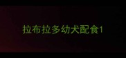 拉布拉多幼犬配食