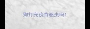 狗打完疫苗驱虫吗