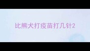 比熊犬打疫苗打几针