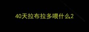 40天拉布拉多喂什么