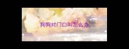 狗狗对门口叫怎么办