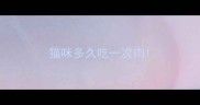 猫咪多久吃一次肉